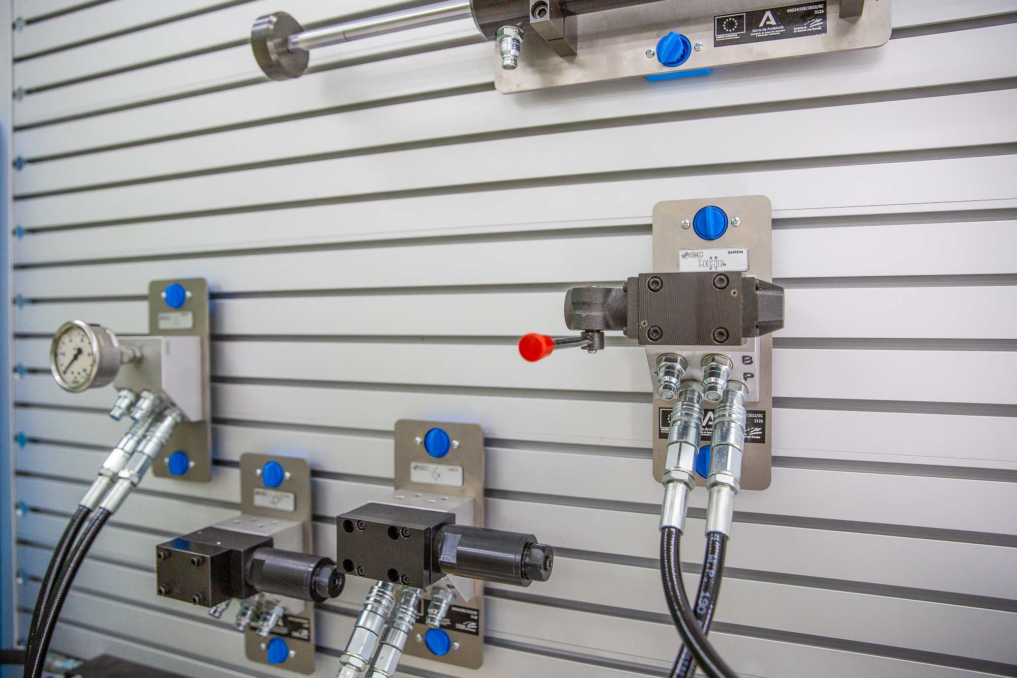 _SF_8721-24